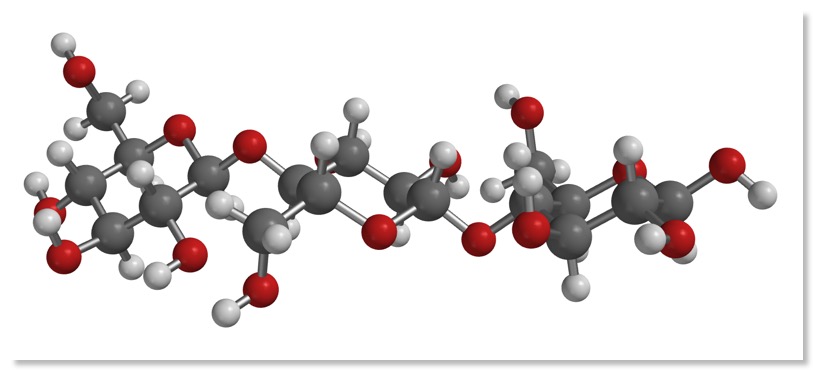 Cellulose