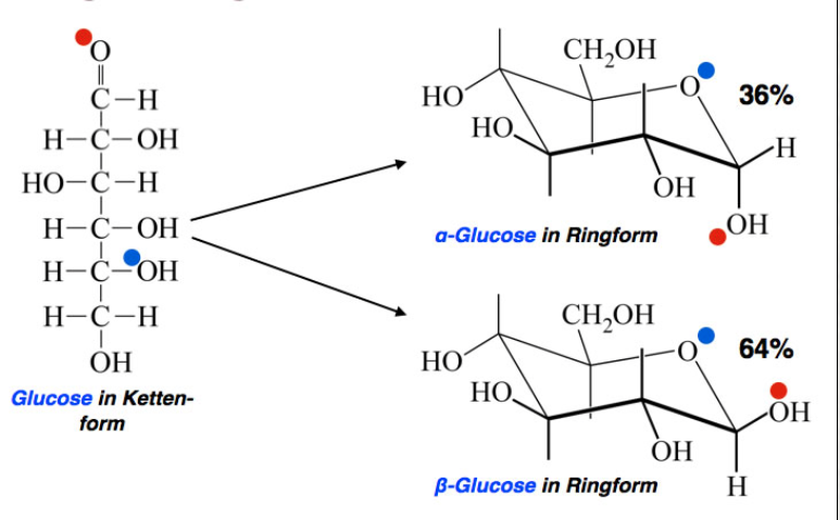 Glucose