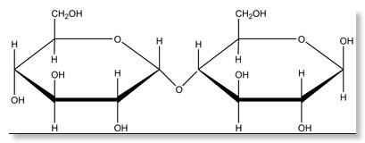 Maltose