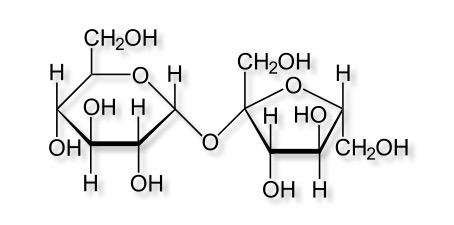 Saccharose2